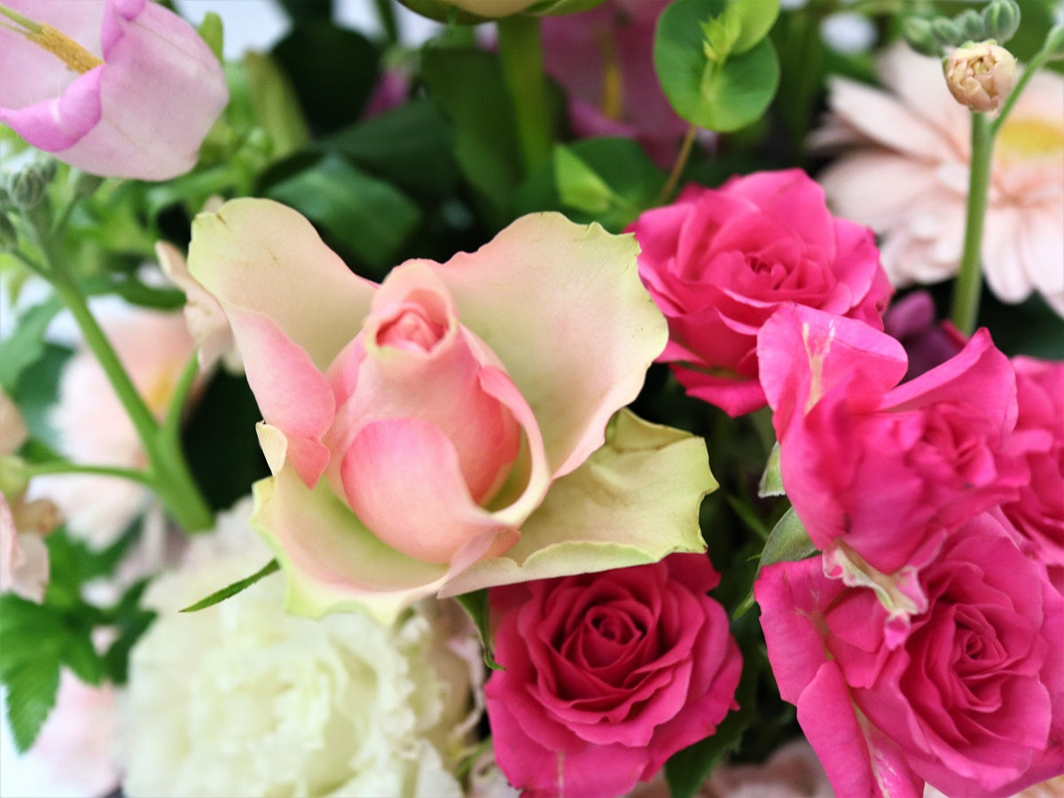 シーズナルピンクのアレンジメント