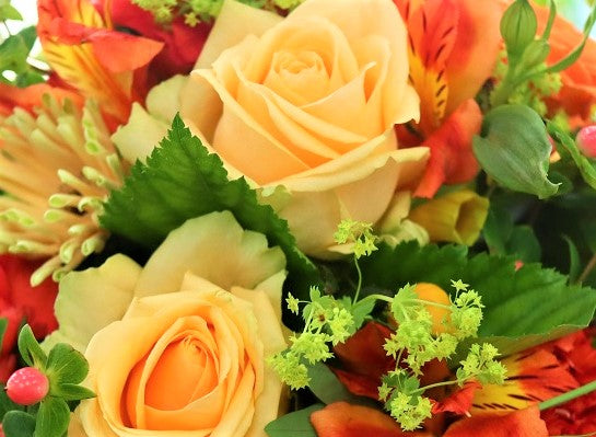 パッションオレンジのアレンジメント